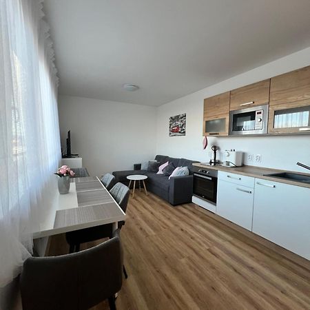 Apartman Roda2 Male Lipno Černá v Pošumaví Buitenkant foto