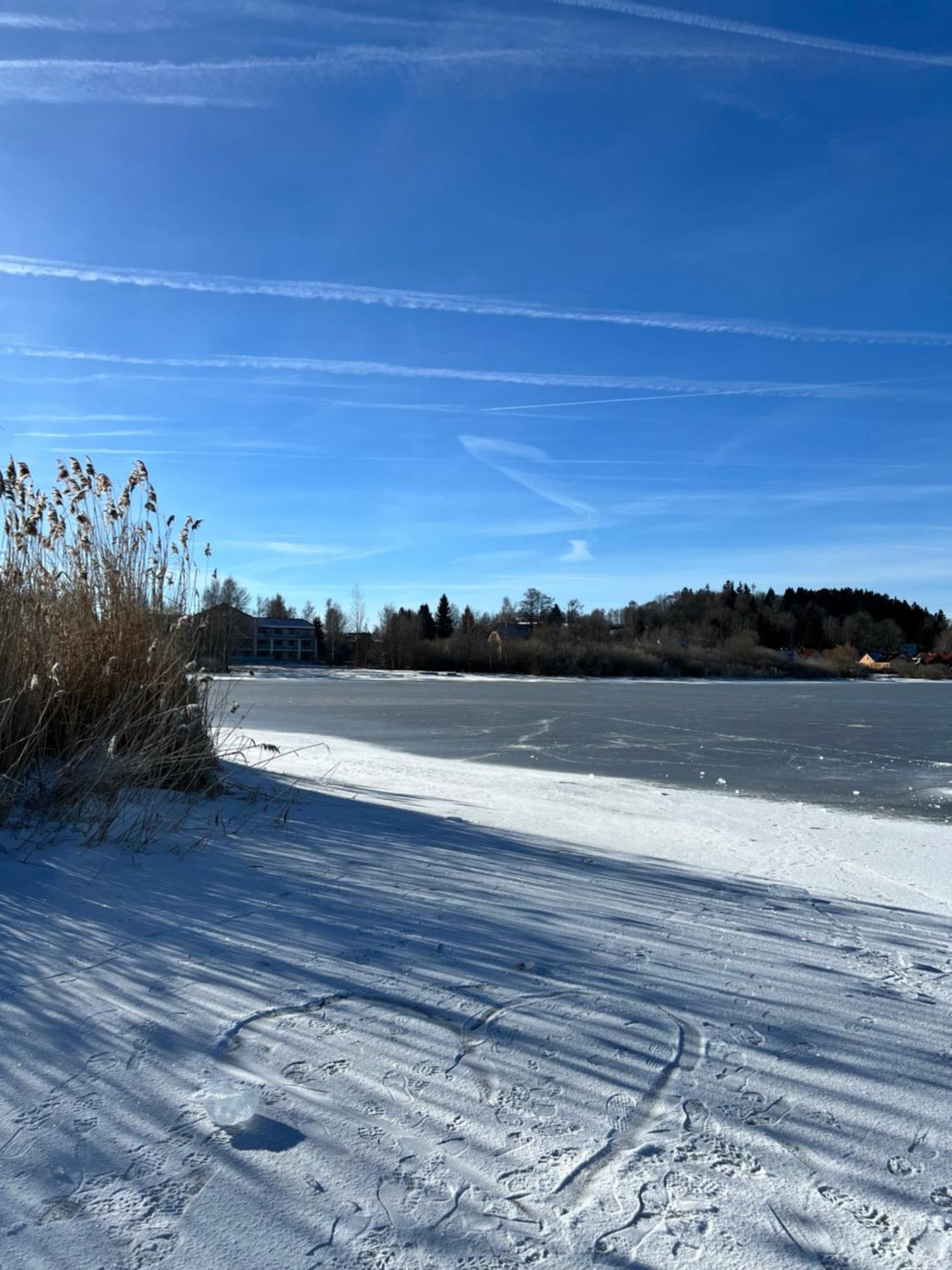 Apartman Roda2 Male Lipno Černá v Pošumaví Buitenkant foto